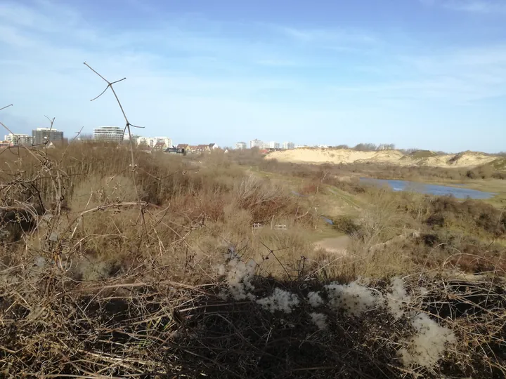 De Panne (België)